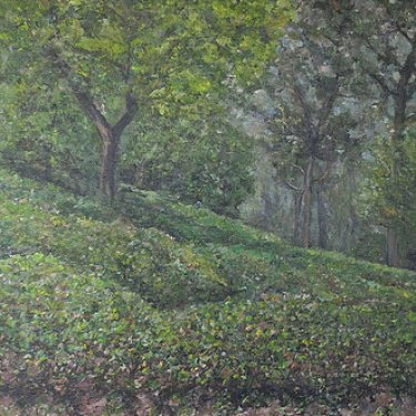 Plantation de thé à Haenam – acrylique, 40×50 cm (2014)