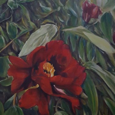 La fleur rouge – acrylique, 70×80 cm (2016)