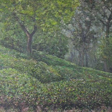 Plantation de thé à Haenam – acrylique, 40×50 cm (2014)